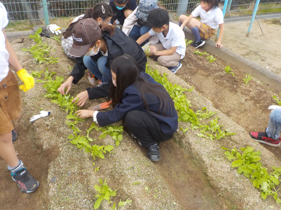 高野町学びの教室　②「農業体験」